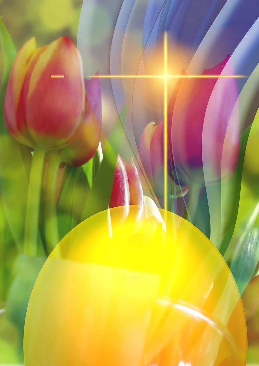 Download free HD stock image of Celebration Colour Free celebration colour grass illustration