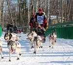 sledge, sled, sleigh