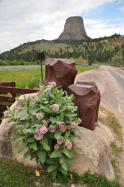 Free Devils Tower Mountain photo and picture