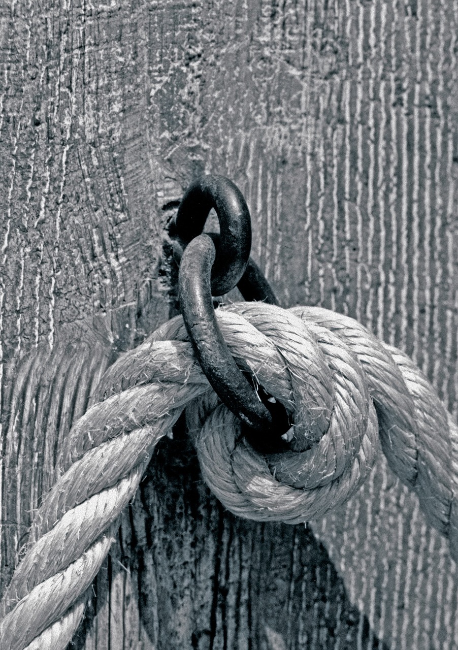 Download free HD stock image of Rope Hook Free Rope Hook photo and picture