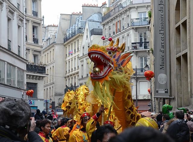 paris, france, chinese new year, people, celebration, festive, festival, outside, city, cities, urban, costume, costumes, colors, colorful, beautiful, dragon, buildings, gray city, gray news, gray dragon, gray color, gray new, gray celebrate, paris, paris, paris, paris, paris, france, celebration, colorful, dragon, dragon