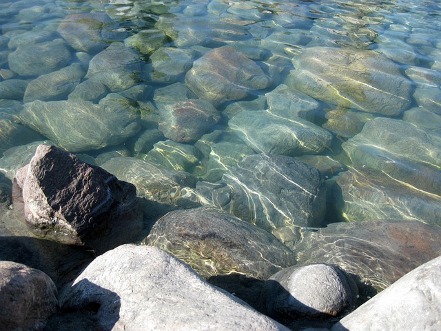 Free Water Bach photo and picture