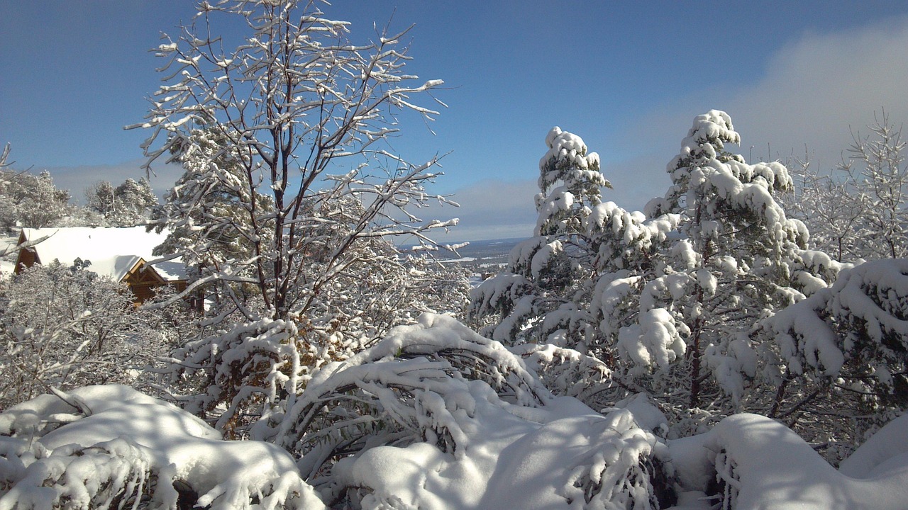 雪景 冬天 冬季魔法 - Pixabay上的免费照片 - Pixabay