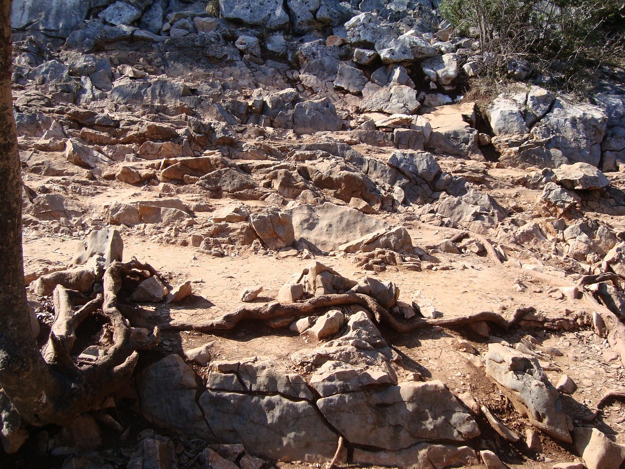 kayalık adımlar
