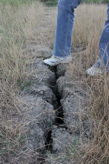 Geknackt, Erde, Dürre, Feld, Gras