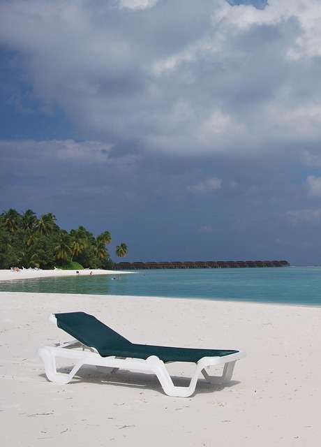 Free White Sandy photo and picture