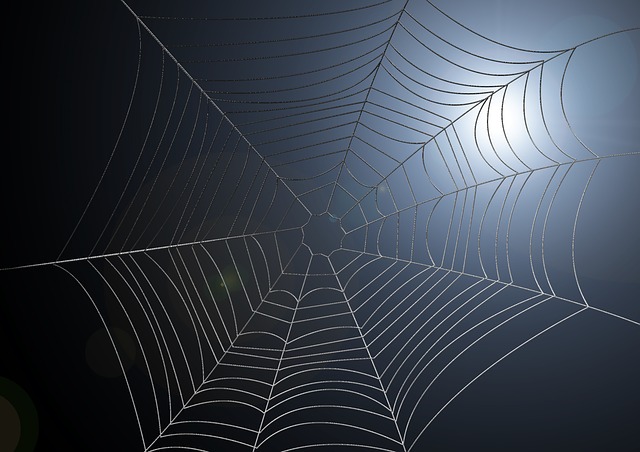 Free web spider web light illustration