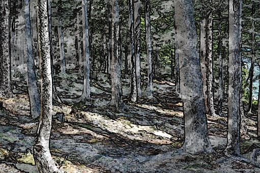 Free Drawing Abstract Forest illustration and picture
