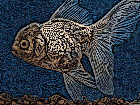 Free Digital Art Fish illustration and picture