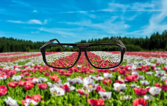 Spectacles Glasses Frame - Free image on Pixabay
