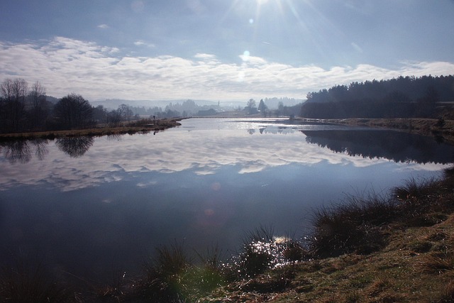 Free Pond Lake photo and picture