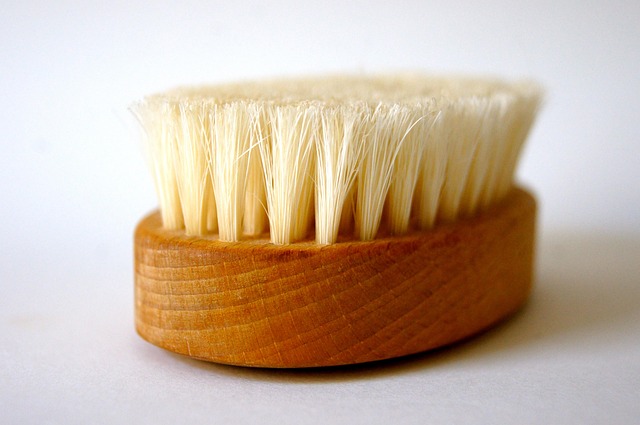 Free Brush Bath photo and picture