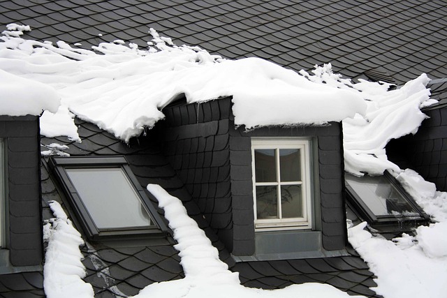 Free Winter Snow photo and picture