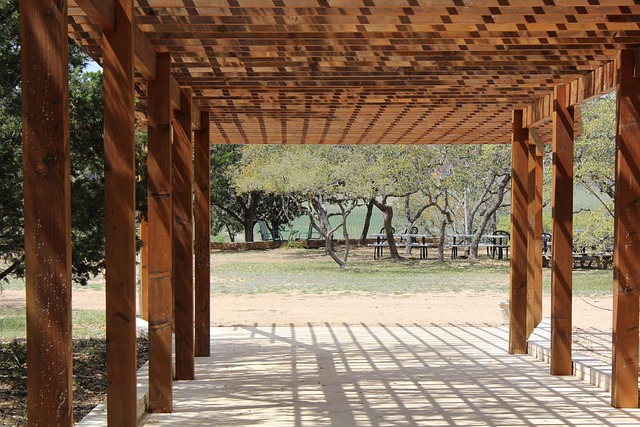 Free Pergola Grape Arbor photo and picture