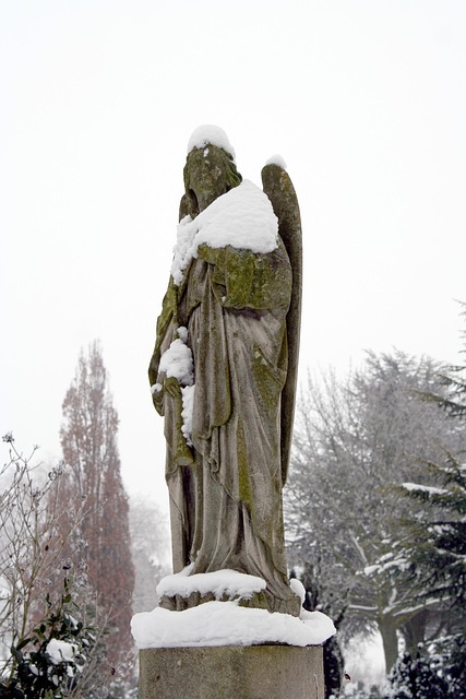 Free Angel Snow photo and picture