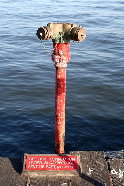 Free Hydrant America photo and picture
