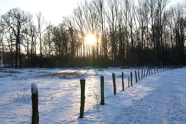 Free Winter Landscape Nature photo and picture