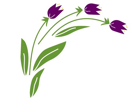 Lalea, Floare, Natura, Arc