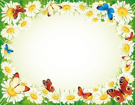 Ram, Natura, Fluture, Floare
