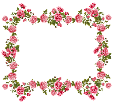 Ramme, Rose, Lyserød