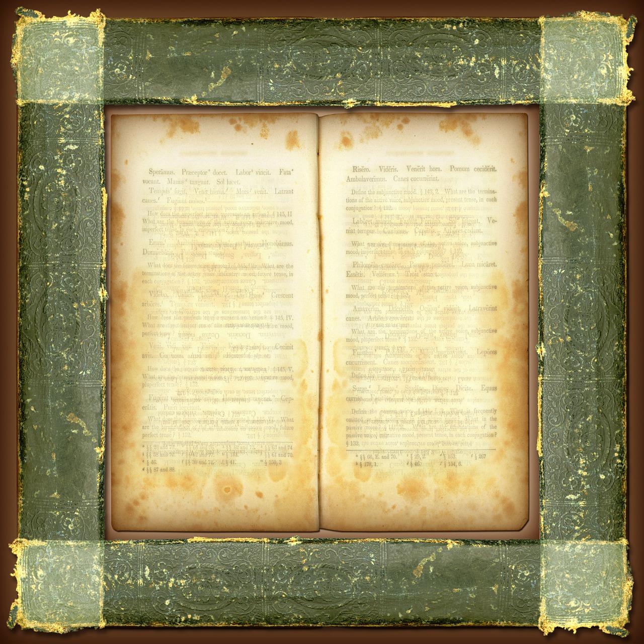 Download free HD stock image of Ram Wood Free ram wood green illustration