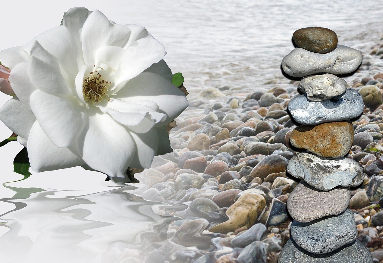 Trauer Blume Erinnerung - Kostenloses Foto auf Pixabay - Pixabay
