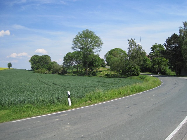 Straße, Kurve, Landleben, Landleben