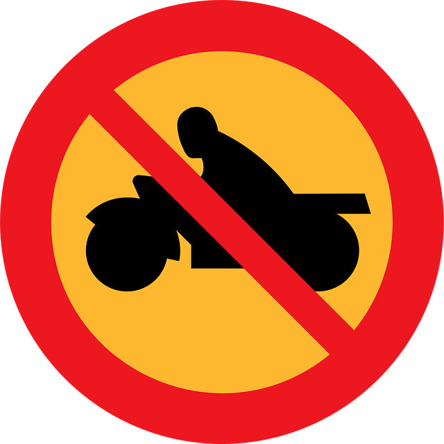 Biciclete Cu Motor, Motocicletă