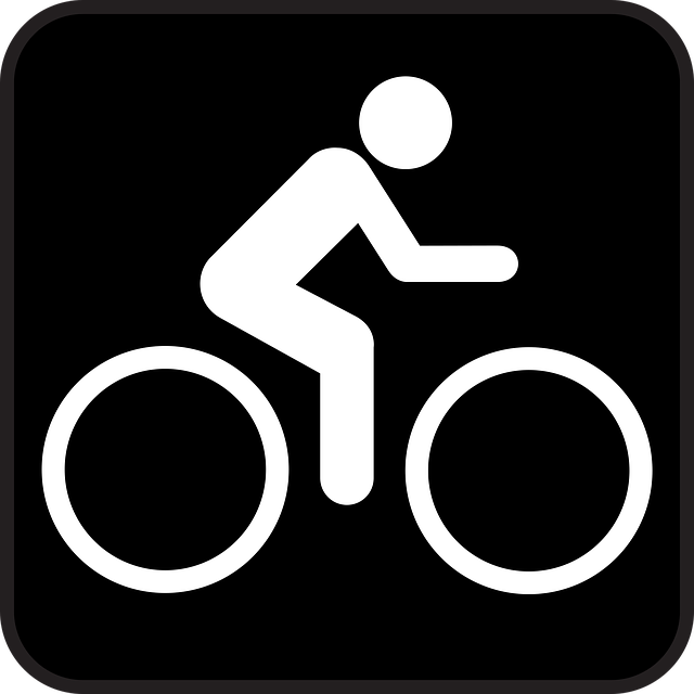 Free biking bike bicycle vector