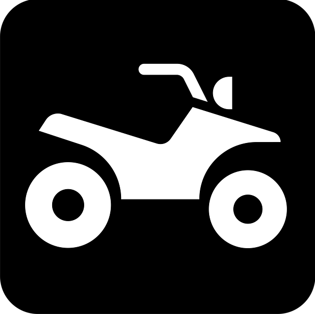 Free quad bike buggy car vector