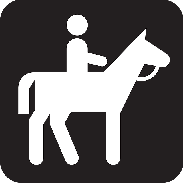 Free riding horse pony illustration