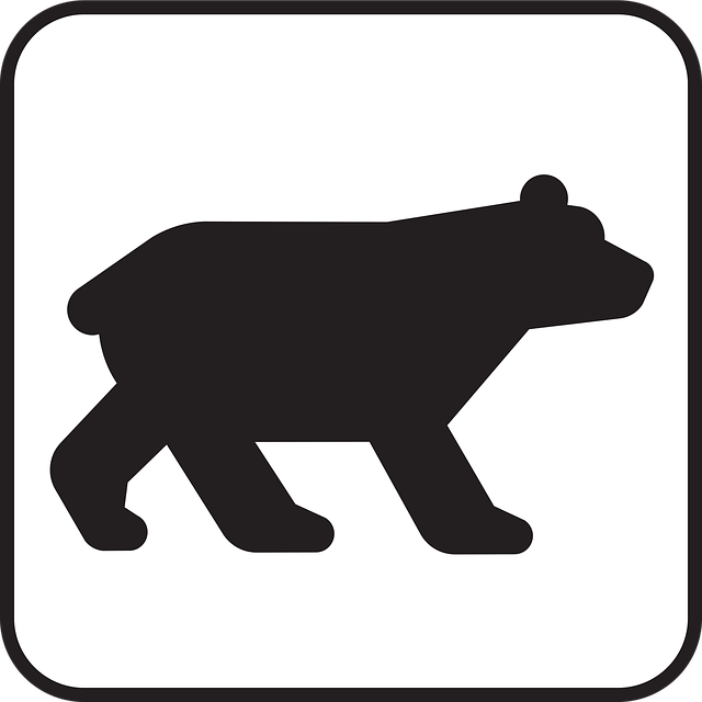 Free bear wildlife animal vector