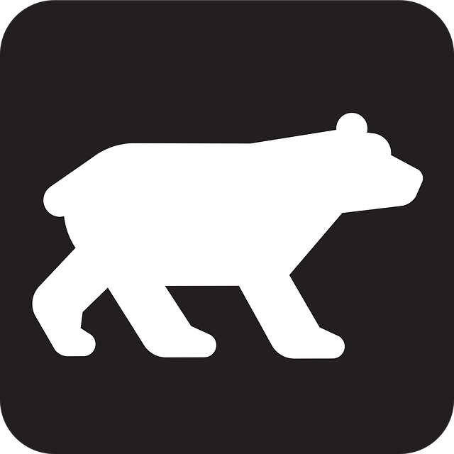 Free bear nature wildlife vector