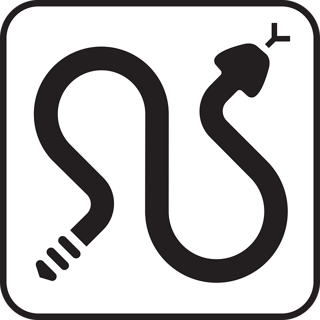 Schlangen, Klapperschlange, Tierwelt