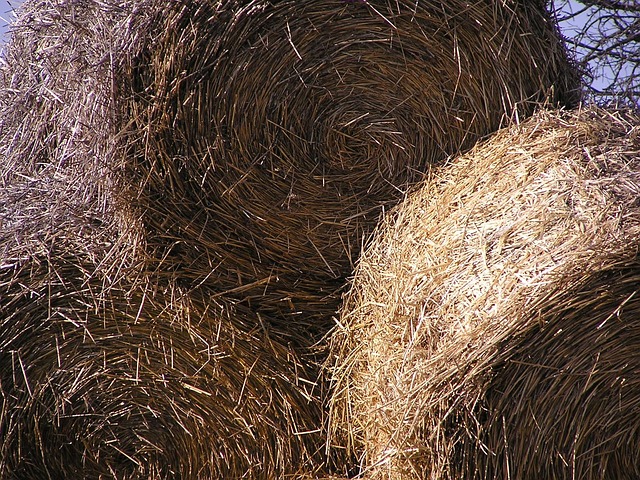 Free Sheaves Hay photo and picture