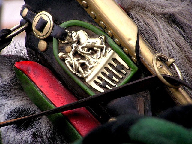 Free Harness Horse photo and picture