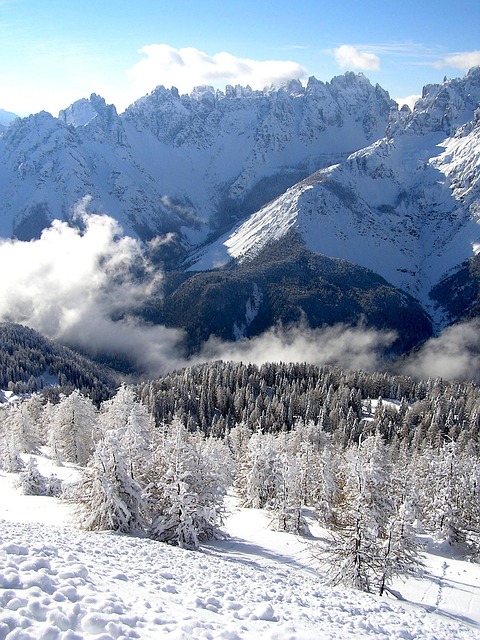 Free Snow Nature photo and picture