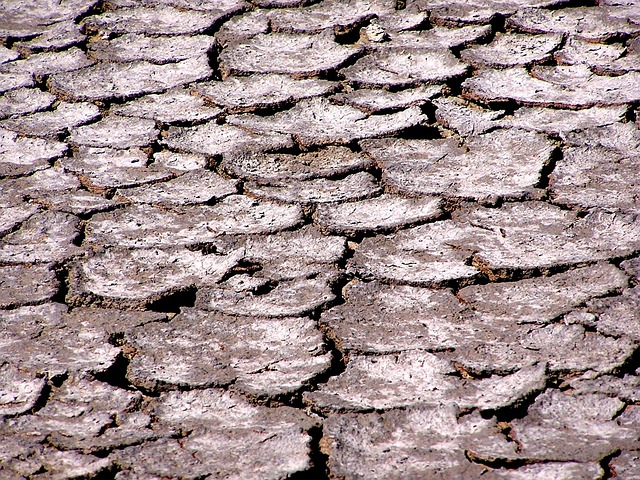 Free Saline The Ground Cracked photo and picture