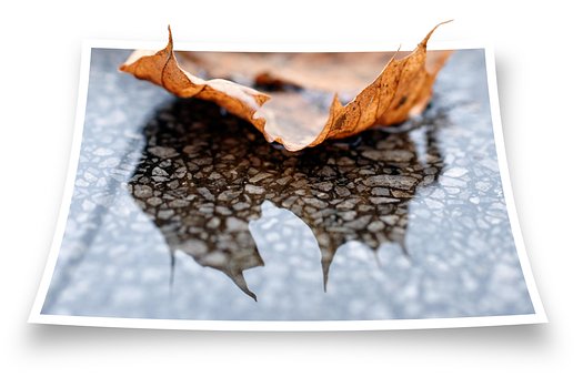 Blatt, Natur, Marmor, Regen