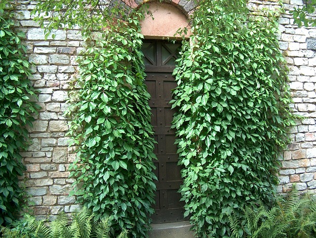 Free Door Gate photo and picture