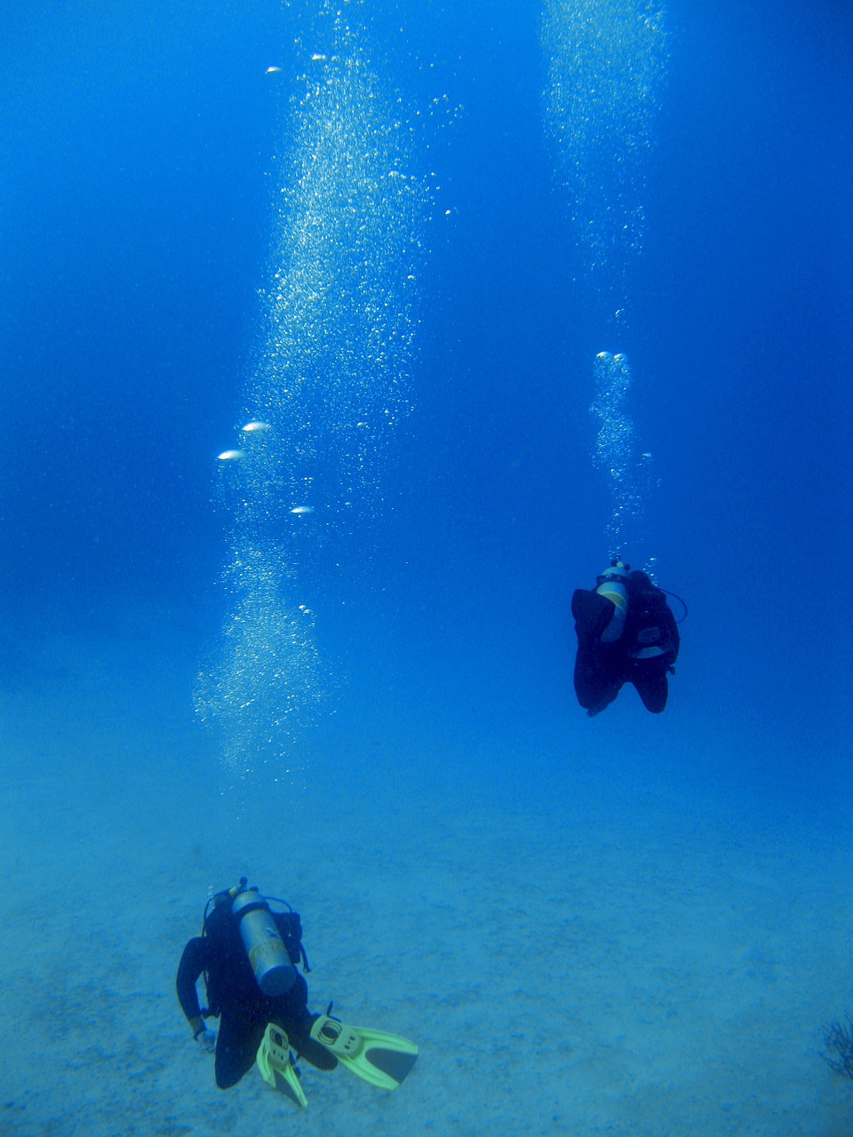 Underwater Divers Bubbles Free photo on Pixabay Pixabay