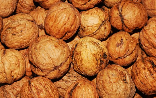 Walnut Walnuts Nuts Brown Nut Healthy Natu