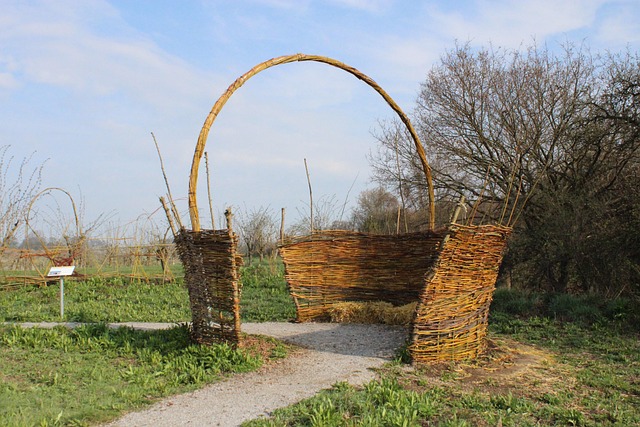 Free Basket Pasture photo and picture