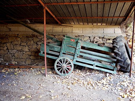 Free Rural Wheat photo and picture