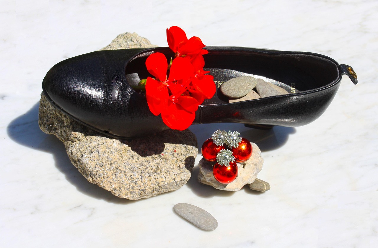 Shoes - free online jigsaw puzzle photo