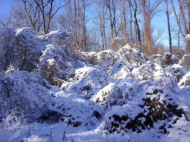 Free Winter Nature photo and picture