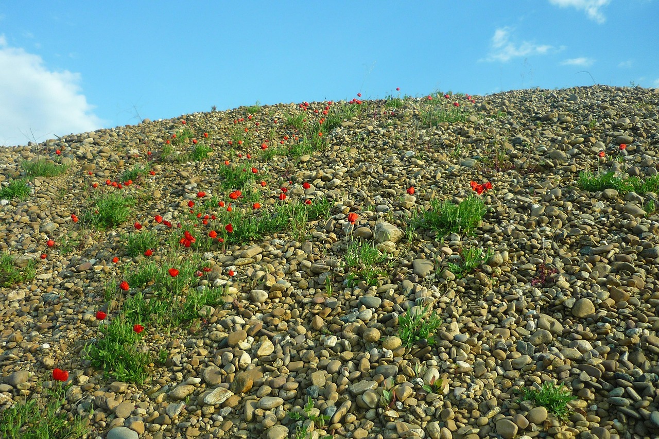 Gravel Pit - free online jigsaw puzzle photo