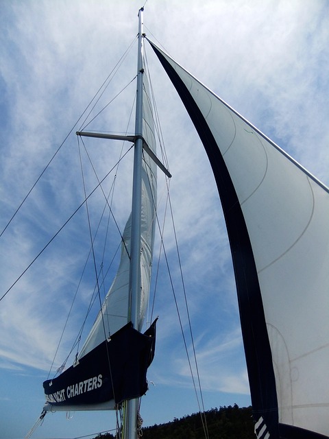 Free Whitsunday Sailing photo and picture