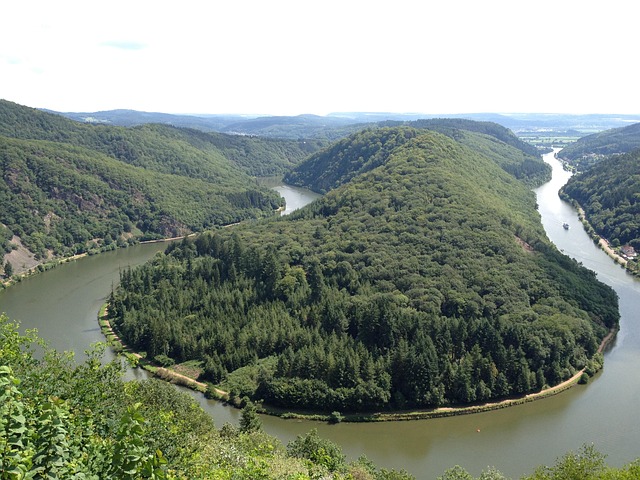 Free Saarland Forest photo and picture