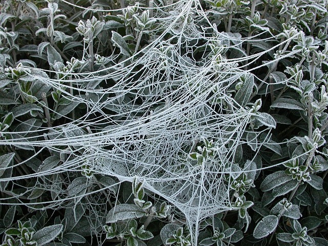 Free Be Crazy Ripe photo and picture